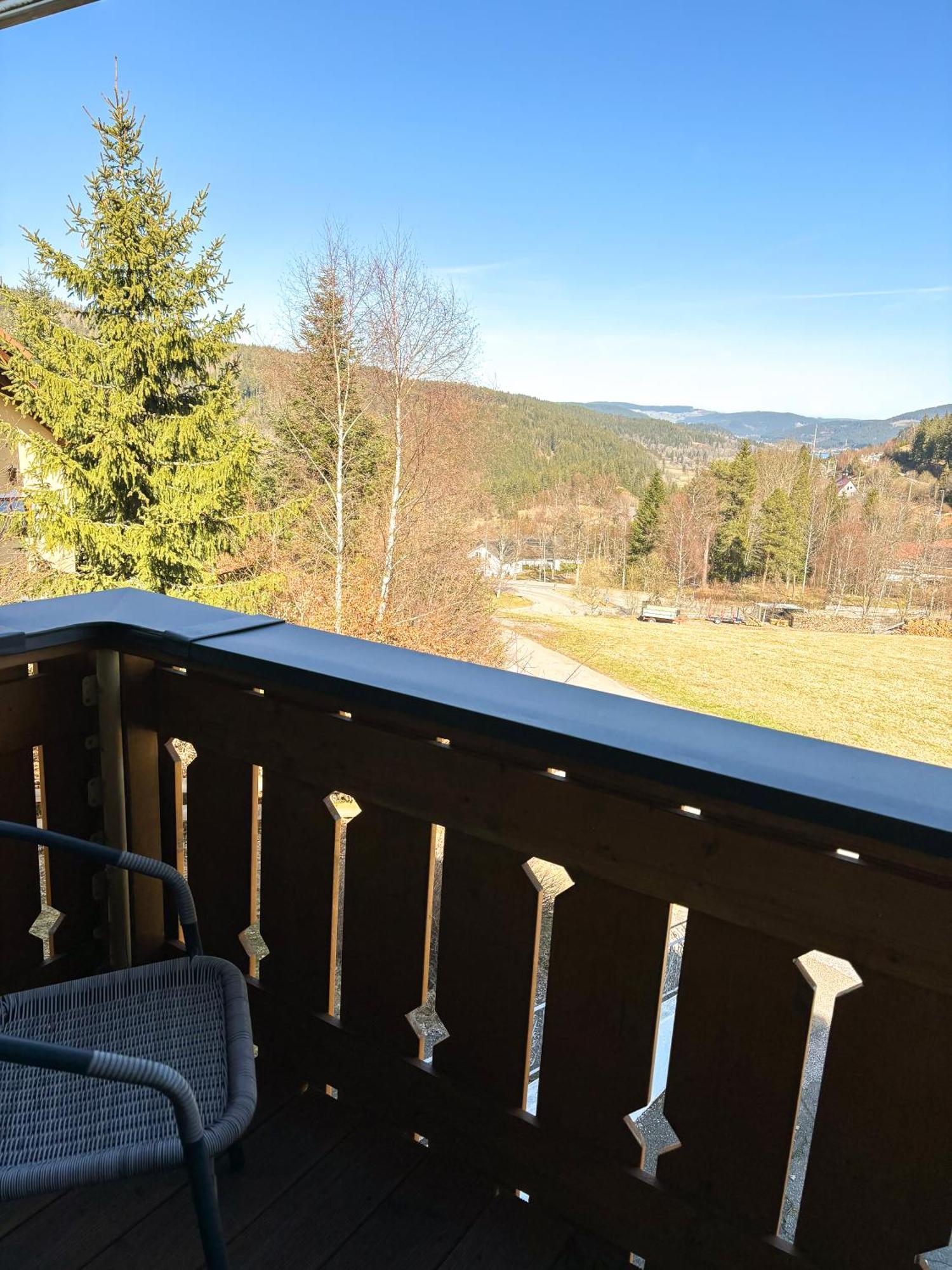 פלדברג Schwarzwald-Chalet Feldberg מראה חיצוני תמונה