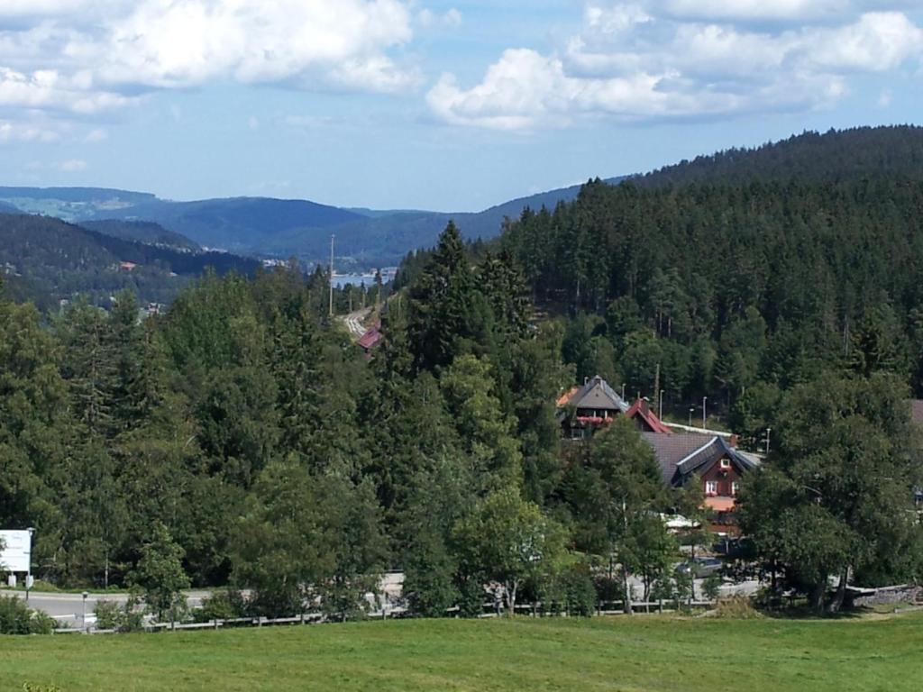 פלדברג Schwarzwald-Chalet Feldberg מראה חיצוני תמונה